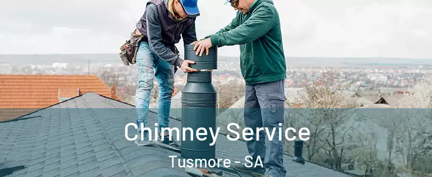  Chimney Service Tusmore - SA