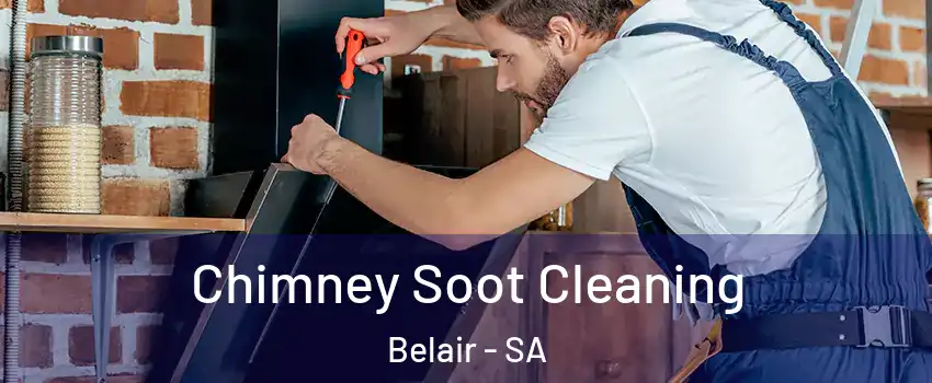 Chimney Soot Cleaning Belair - SA
