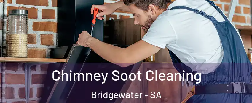 Chimney Soot Cleaning Bridgewater - SA
