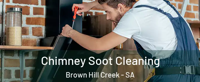 Chimney Soot Cleaning Brown Hill Creek - SA