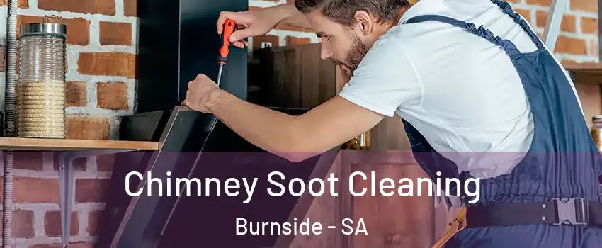 Chimney Soot Cleaning Burnside - SA