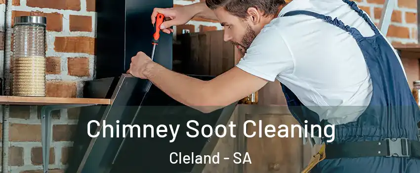 Chimney Soot Cleaning Cleland - SA
