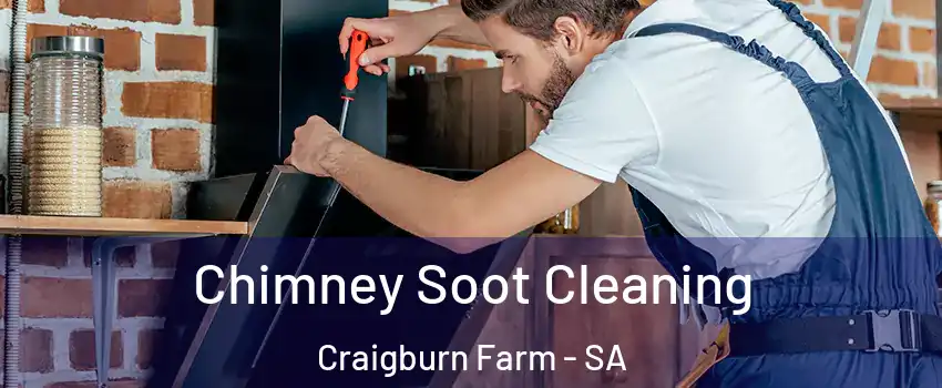 Chimney Soot Cleaning Craigburn Farm - SA