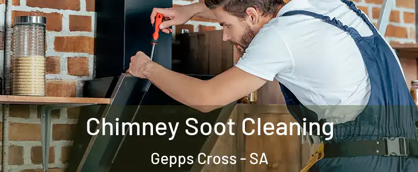 Chimney Soot Cleaning Gepps Cross - SA