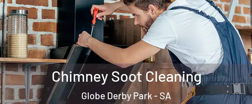 Chimney Soot Cleaning Globe Derby Park - SA