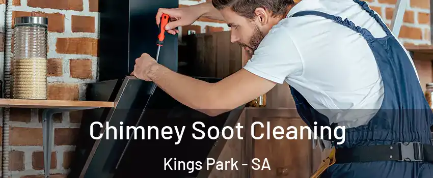  Chimney Soot Cleaning Kings Park - SA