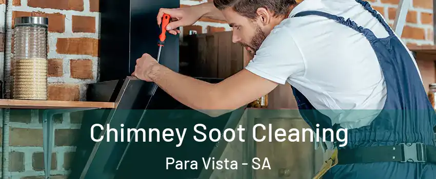  Chimney Soot Cleaning Para Vista - SA