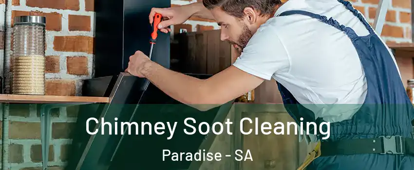  Chimney Soot Cleaning Paradise - SA