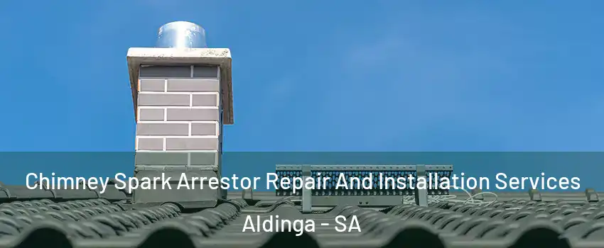 Chimney Spark Arrestor Repair And Installation Services Aldinga - SA