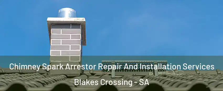 Chimney Spark Arrestor Repair And Installation Services Blakes Crossing - SA