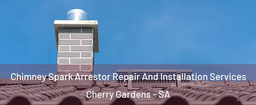 Chimney Spark Arrestor Repair And Installation Services Cherry Gardens - SA