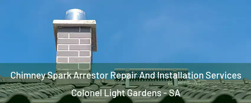 Chimney Spark Arrestor Repair And Installation Services Colonel Light Gardens - SA