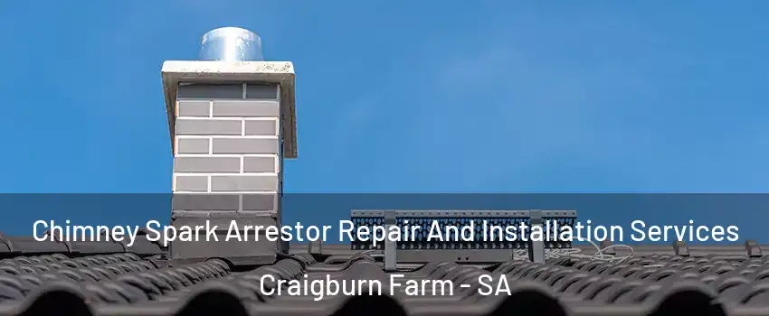 Chimney Spark Arrestor Repair And Installation Services Craigburn Farm - SA