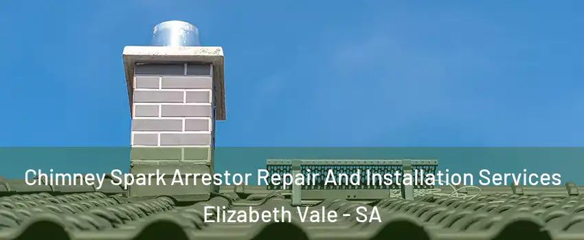 Chimney Spark Arrestor Repair And Installation Services Elizabeth Vale - SA