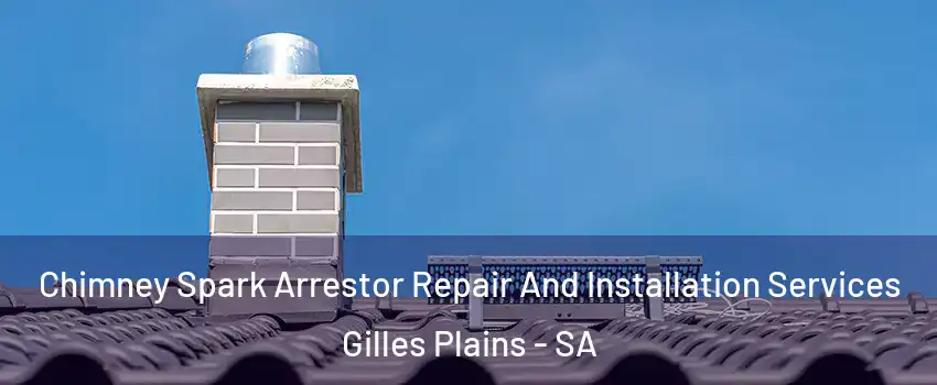 Chimney Spark Arrestor Repair And Installation Services Gilles Plains - SA