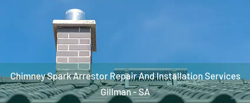 Chimney Spark Arrestor Repair And Installation Services Gillman - SA