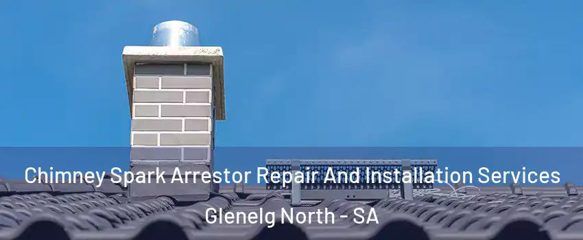  Chimney Spark Arrestor Repair And Installation Services Glenelg North - SA