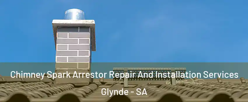 Chimney Spark Arrestor Repair And Installation Services Glynde - SA