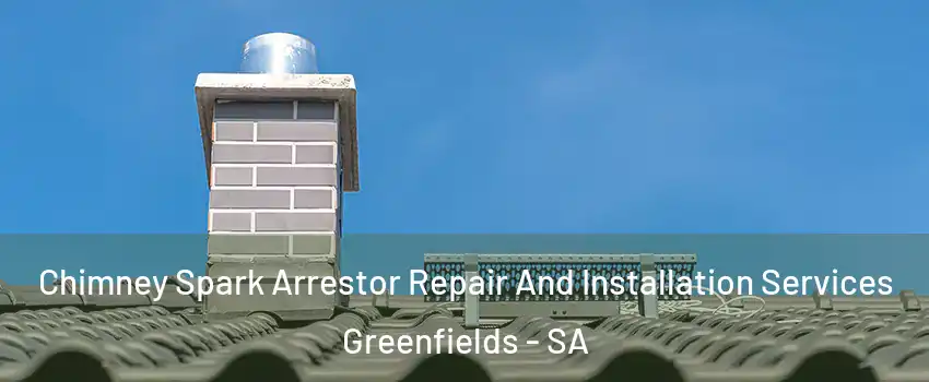 Chimney Spark Arrestor Repair And Installation Services Greenfields - SA