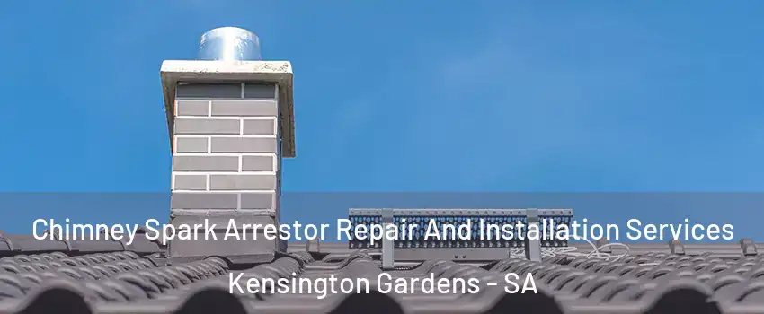 Chimney Spark Arrestor Repair And Installation Services Kensington Gardens - SA