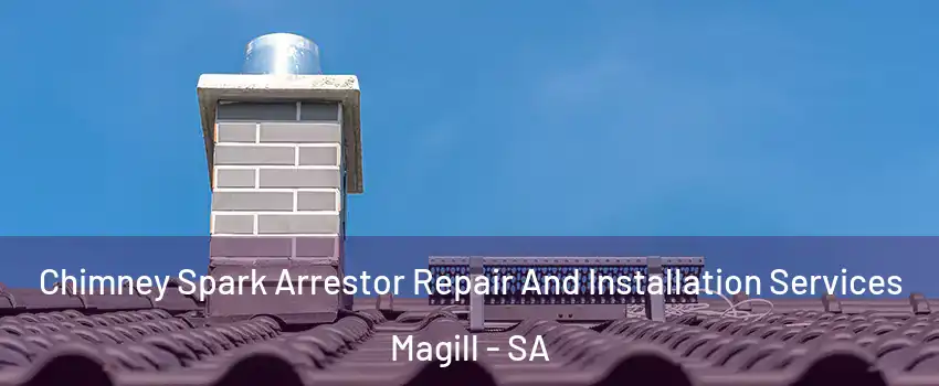  Chimney Spark Arrestor Repair And Installation Services Magill - SA
