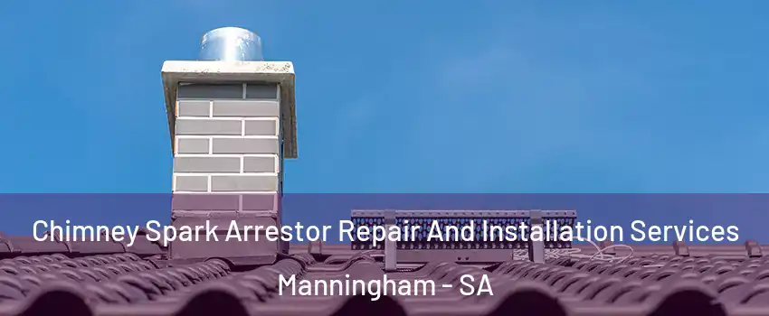  Chimney Spark Arrestor Repair And Installation Services Manningham - SA