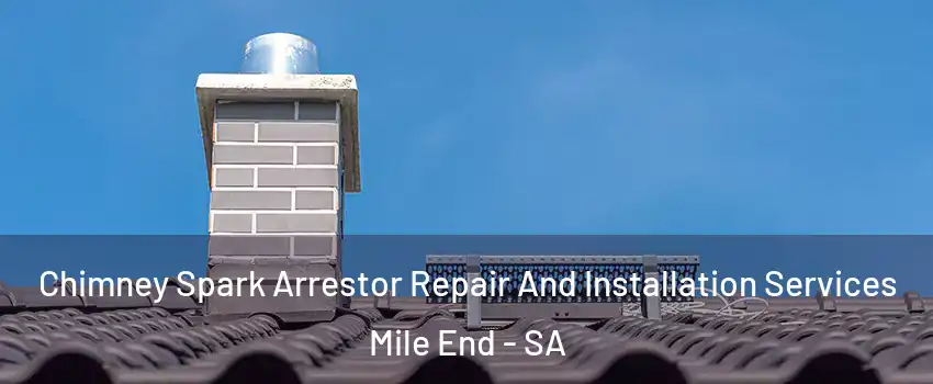  Chimney Spark Arrestor Repair And Installation Services Mile End - SA