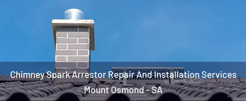  Chimney Spark Arrestor Repair And Installation Services Mount Osmond - SA