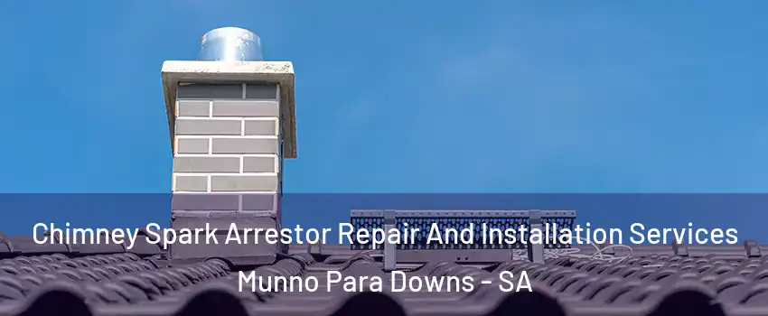  Chimney Spark Arrestor Repair And Installation Services Munno Para Downs - SA