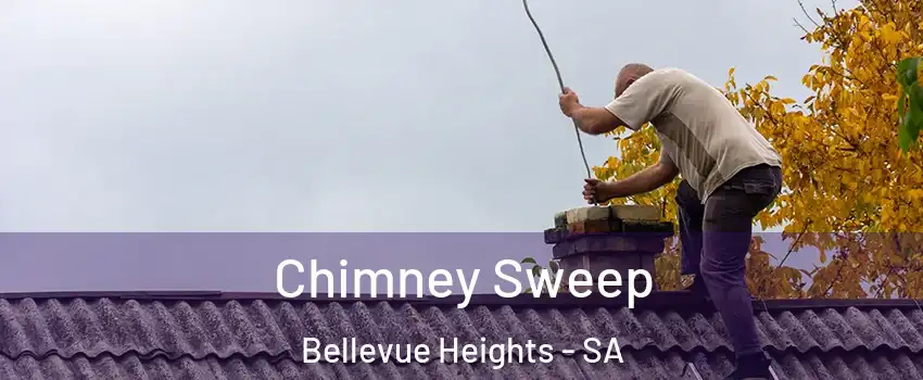 Chimney Sweep Bellevue Heights - SA