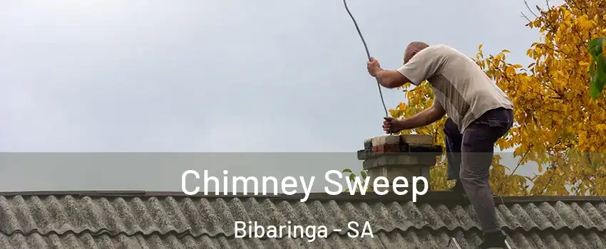 Chimney Sweep Bibaringa - SA