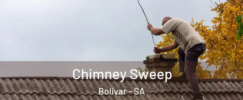 Chimney Sweep Bolivar - SA