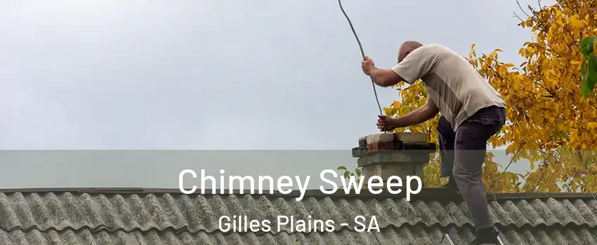 Chimney Sweep Gilles Plains - SA