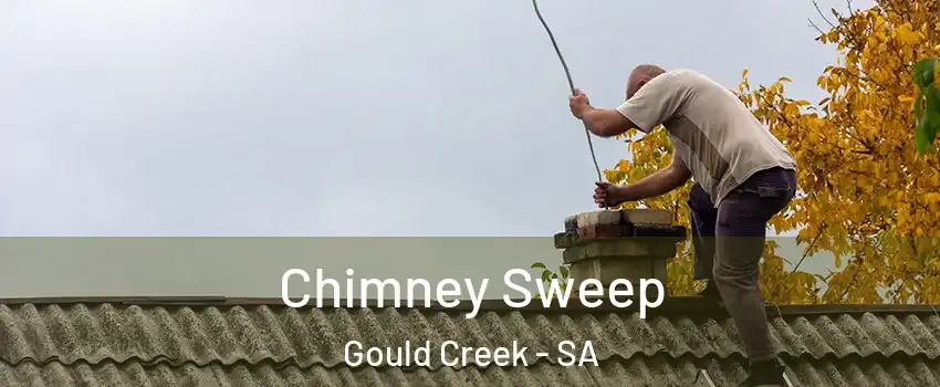 Chimney Sweep Gould Creek - SA