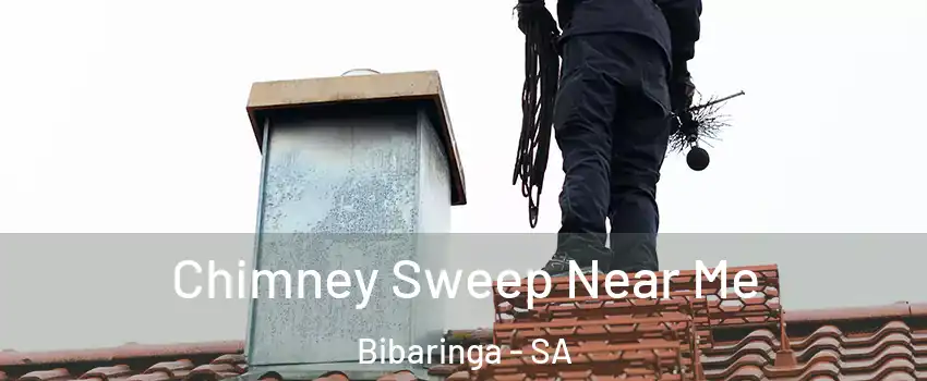 Chimney Sweep Near Me Bibaringa - SA