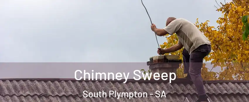  Chimney Sweep South Plympton - SA