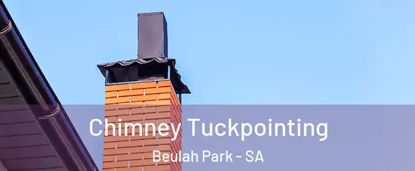 Chimney Tuckpointing Beulah Park - SA