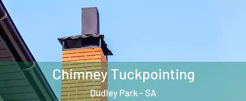 Chimney Tuckpointing Dudley Park - SA