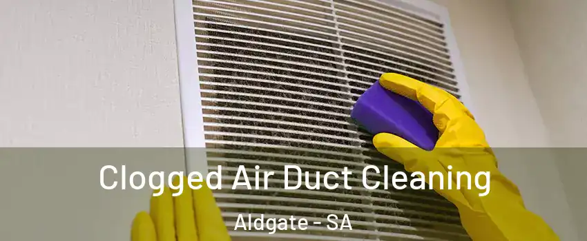 Clogged Air Duct Cleaning Aldgate - SA