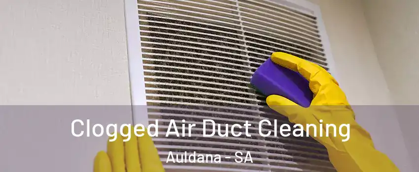 Clogged Air Duct Cleaning Auldana - SA