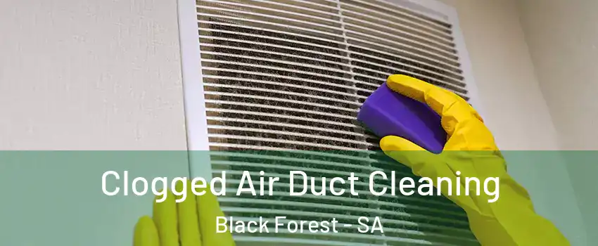 Clogged Air Duct Cleaning Black Forest - SA