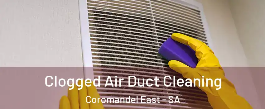Clogged Air Duct Cleaning Coromandel East - SA