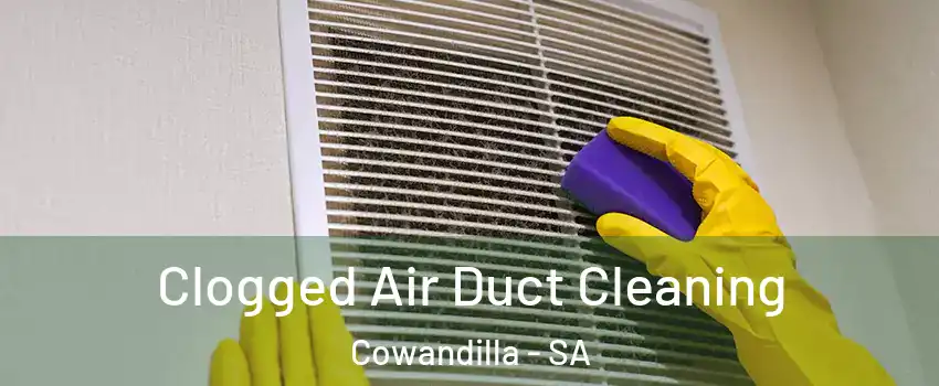 Clogged Air Duct Cleaning Cowandilla - SA