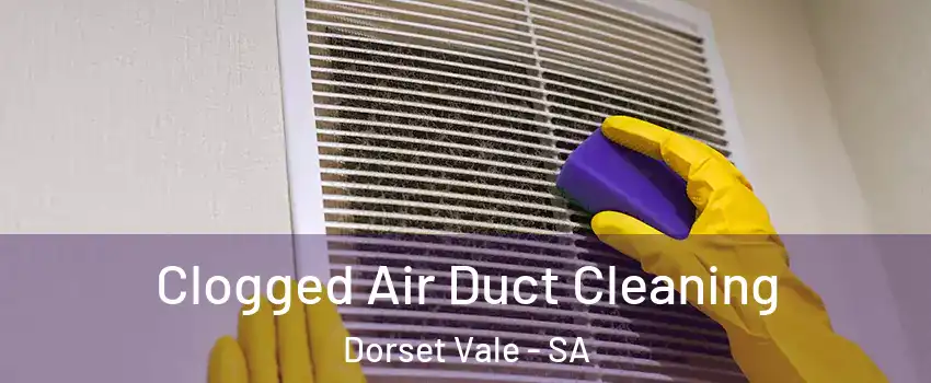 Clogged Air Duct Cleaning Dorset Vale - SA