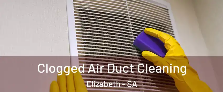 Clogged Air Duct Cleaning Elizabeth - SA