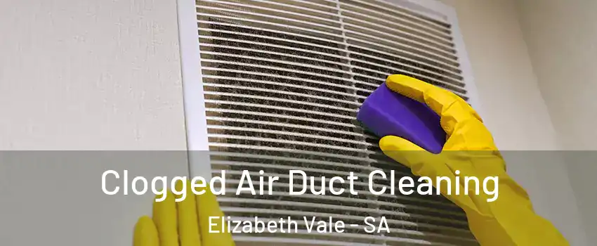 Clogged Air Duct Cleaning Elizabeth Vale - SA