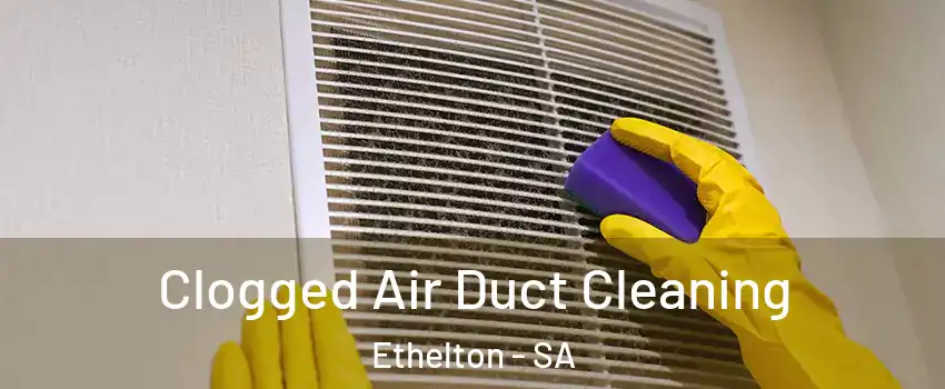 Clogged Air Duct Cleaning Ethelton - SA