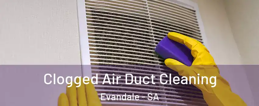 Clogged Air Duct Cleaning Evandale - SA
