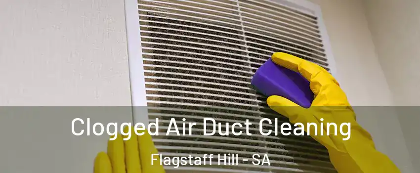 Clogged Air Duct Cleaning Flagstaff Hill - SA