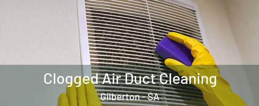 Clogged Air Duct Cleaning Gilberton - SA